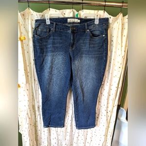 Torrid Medium Wash Skinny Cropped Jeans